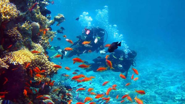 Best Activities Things To Do In Andaman