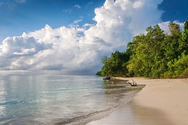 The allure of Andamans in December - Andaman Tourism