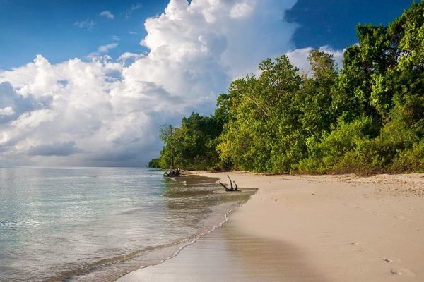 10 reasons why you would visit Andamans - Andaman Tourism