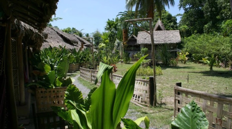 Wild Orchid, Havelock Island