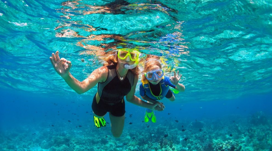 Snorkelling adventure at night