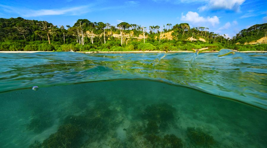 Galathea National Park