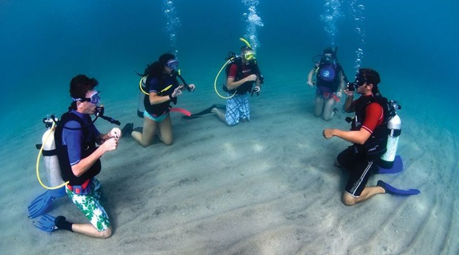 scuba diving course